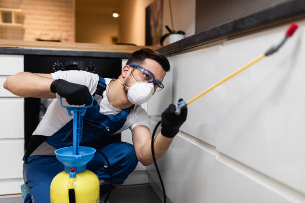 Best Insect Control  in Indian Head, MD